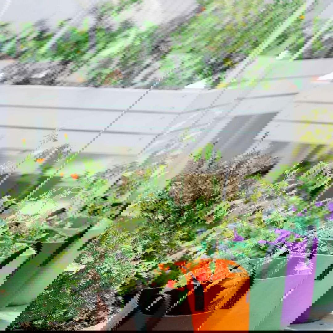 Bootstrap Farmer's 7 Gallon Colored Fabric Grow Bags are filled with vibrant potted plants and flowers, displayed on a white wooden bench and the ground in an outdoor garden.