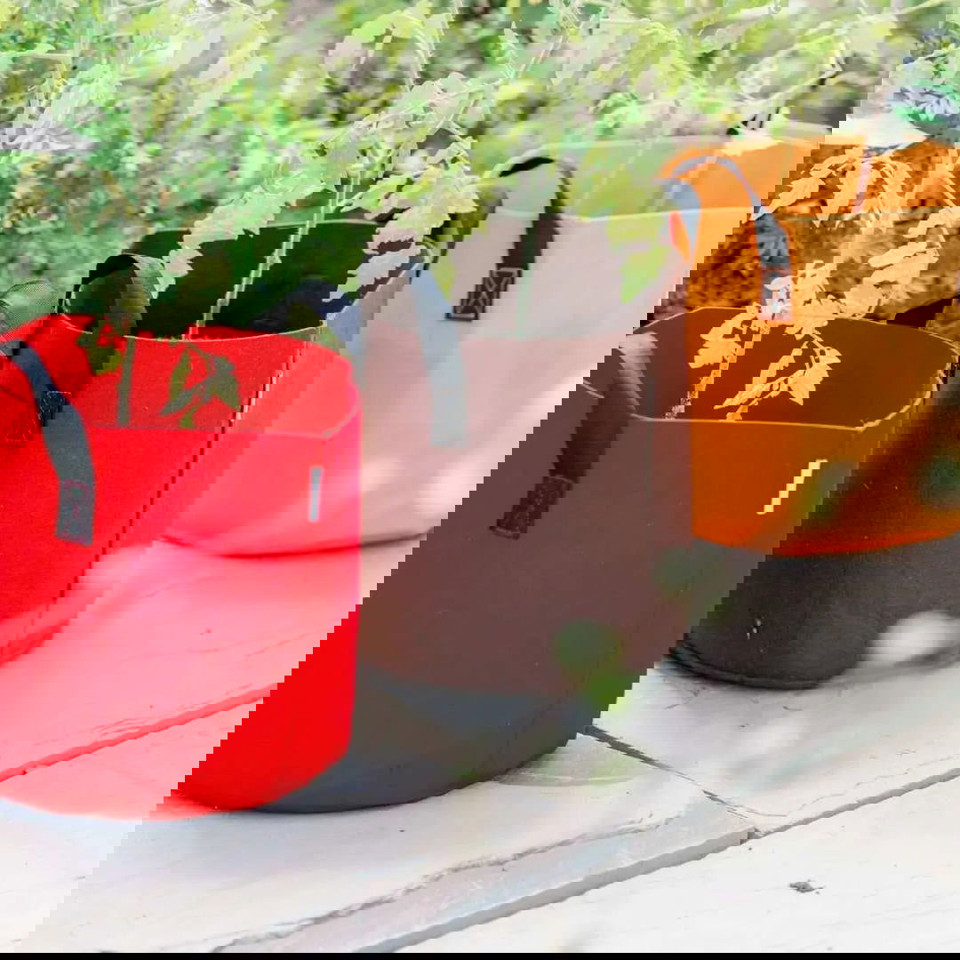 A distorted image shows Bootstrap Farmer's Grow Bags - 7 Gallon Colored Fabric Pots and plastic containers outdoors on tile, with greenery behind. Visible digital glitches and colorful streaks appear in the photo.
