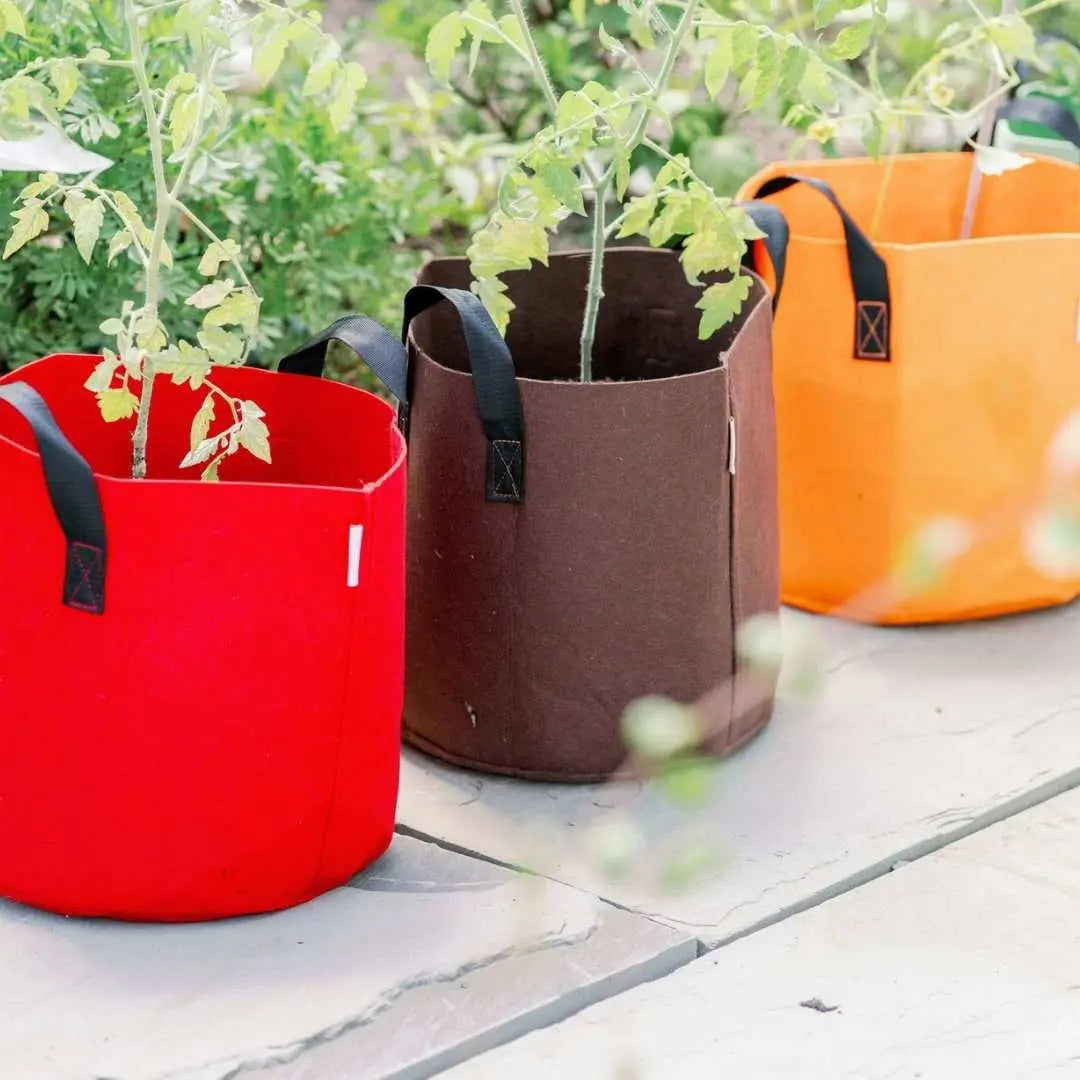 Set of 10 Bootstrap Farmer 7-gallon colored fabric grow bags for gardening and plant cultivation.