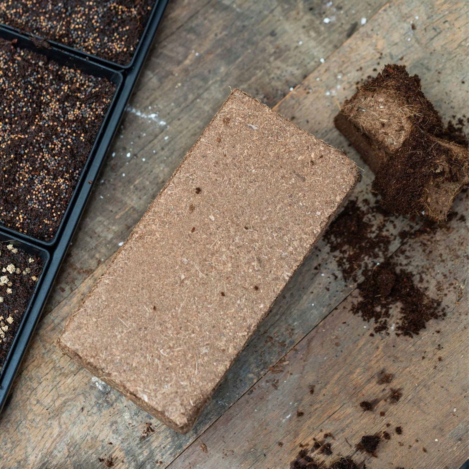 Photo of a compressed coconut coir brick on a rustic wooden surface next to seed starter trays showing dark brown soil and tiny seeds a light brown brick with visible fibers and a contrasting dark crumbly texture