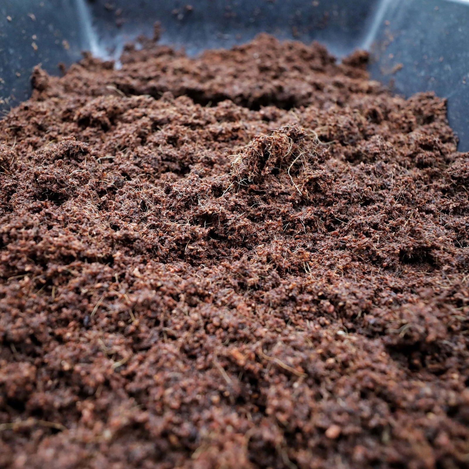 Photograph of dark brown soil in a black container showing visible fibers and textured surface with clumps and small particles
