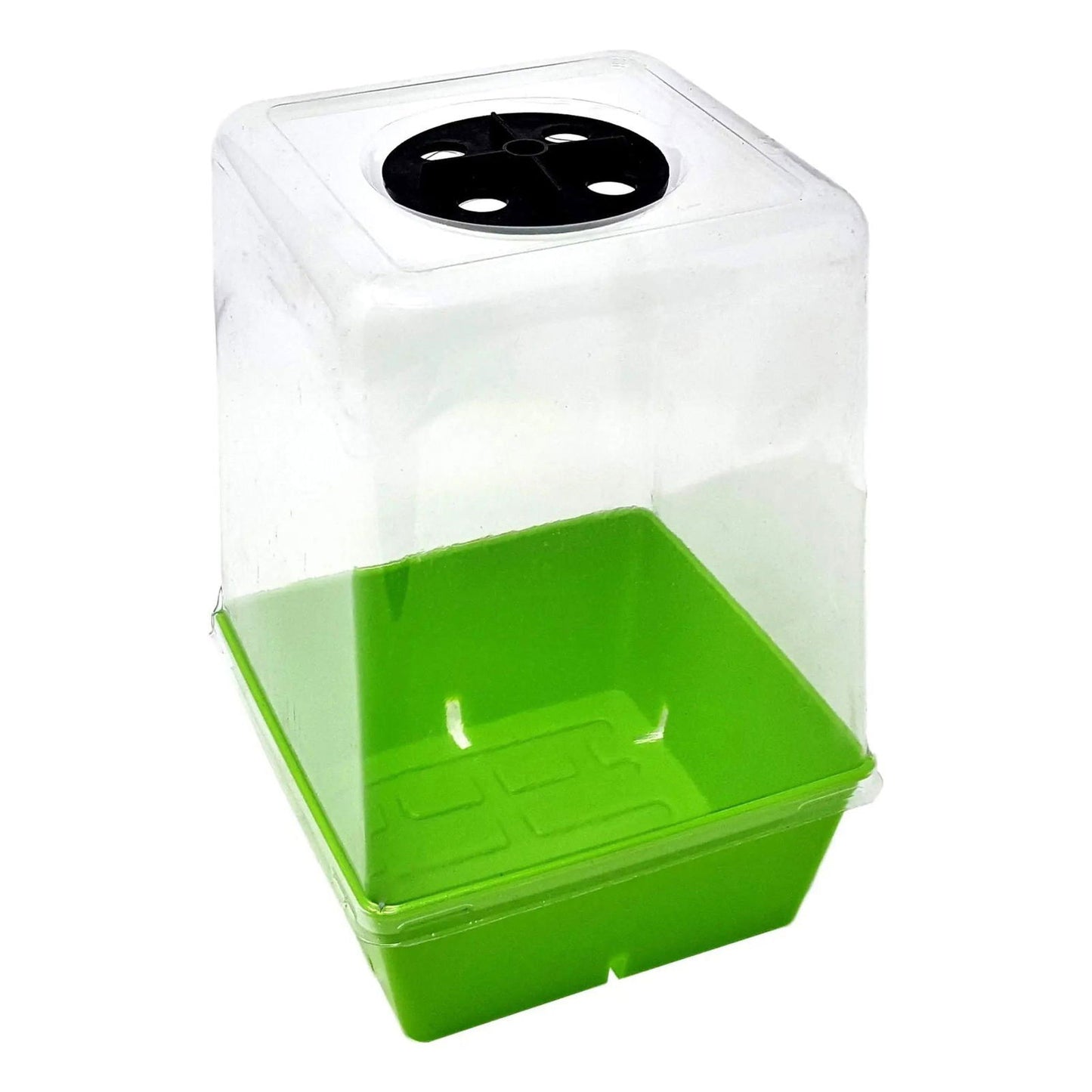 Plastic propagation dome with lime green base and clear plastic cover featuring a black vented lid showcasing four drainage holes
