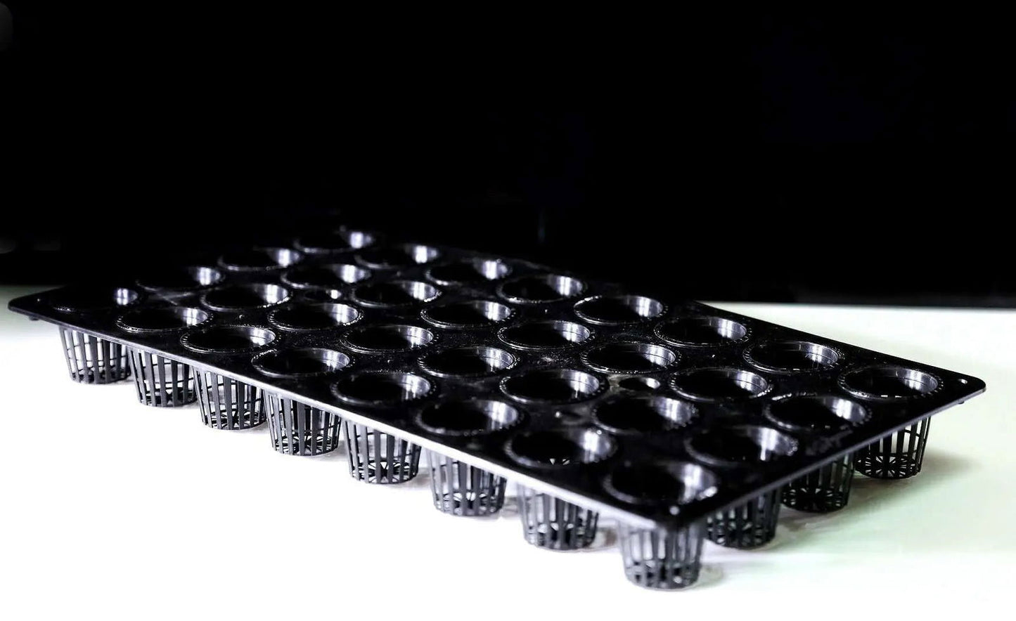 A photograph showing a black plastic hydroponic planting tray with thirty net pots on a white surface against a black background showing the tray's many circular indentations and the texture of the net pots