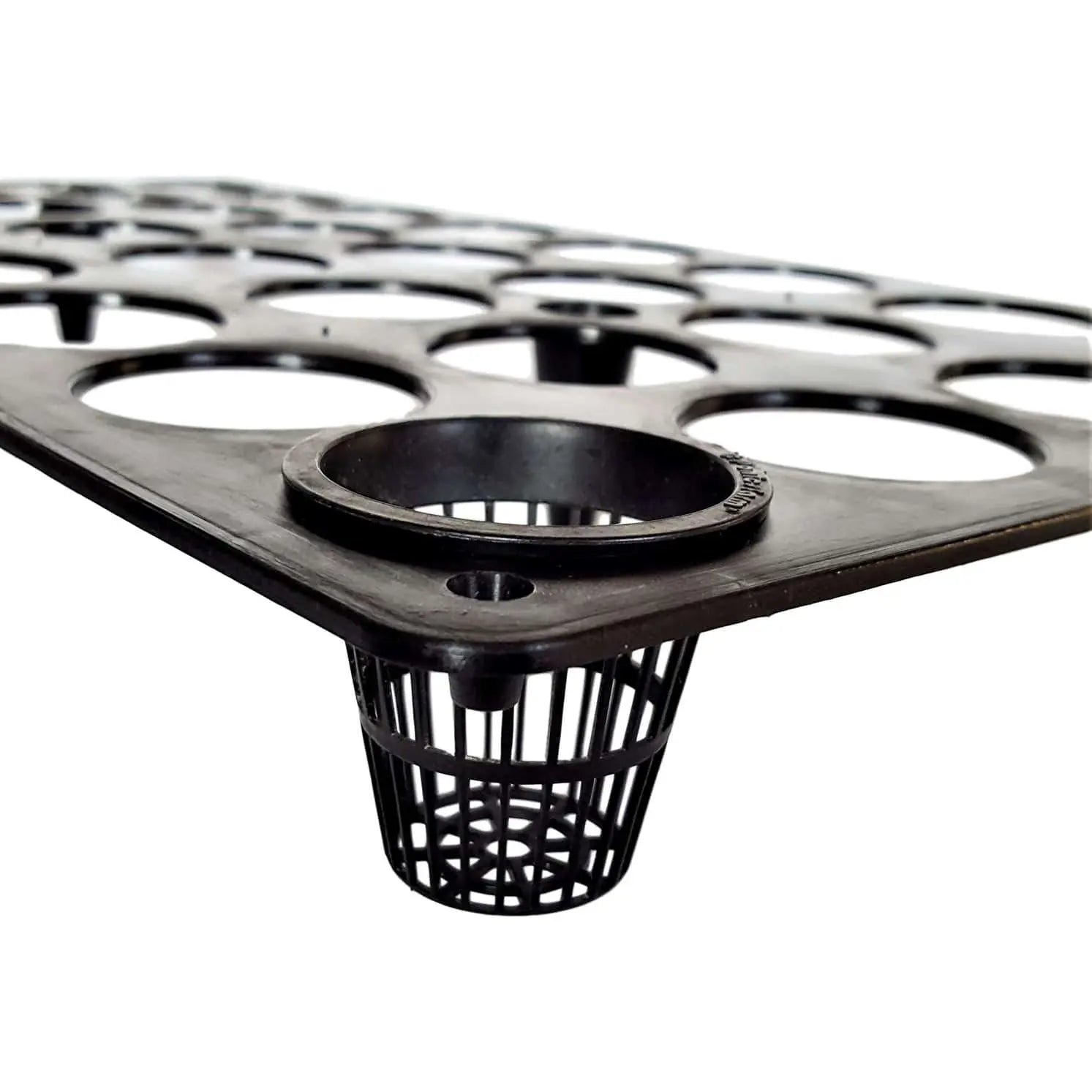 Close-up of a black plastic hydroponic tray showing multiple planting holes and a net pot with detailed ribbed texture and a slightly glossy surface
