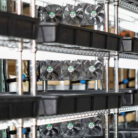 Photograph of multiple rows of industrial cooling fans in a warehouse setting showing vibrant green accents and metallic shelving units