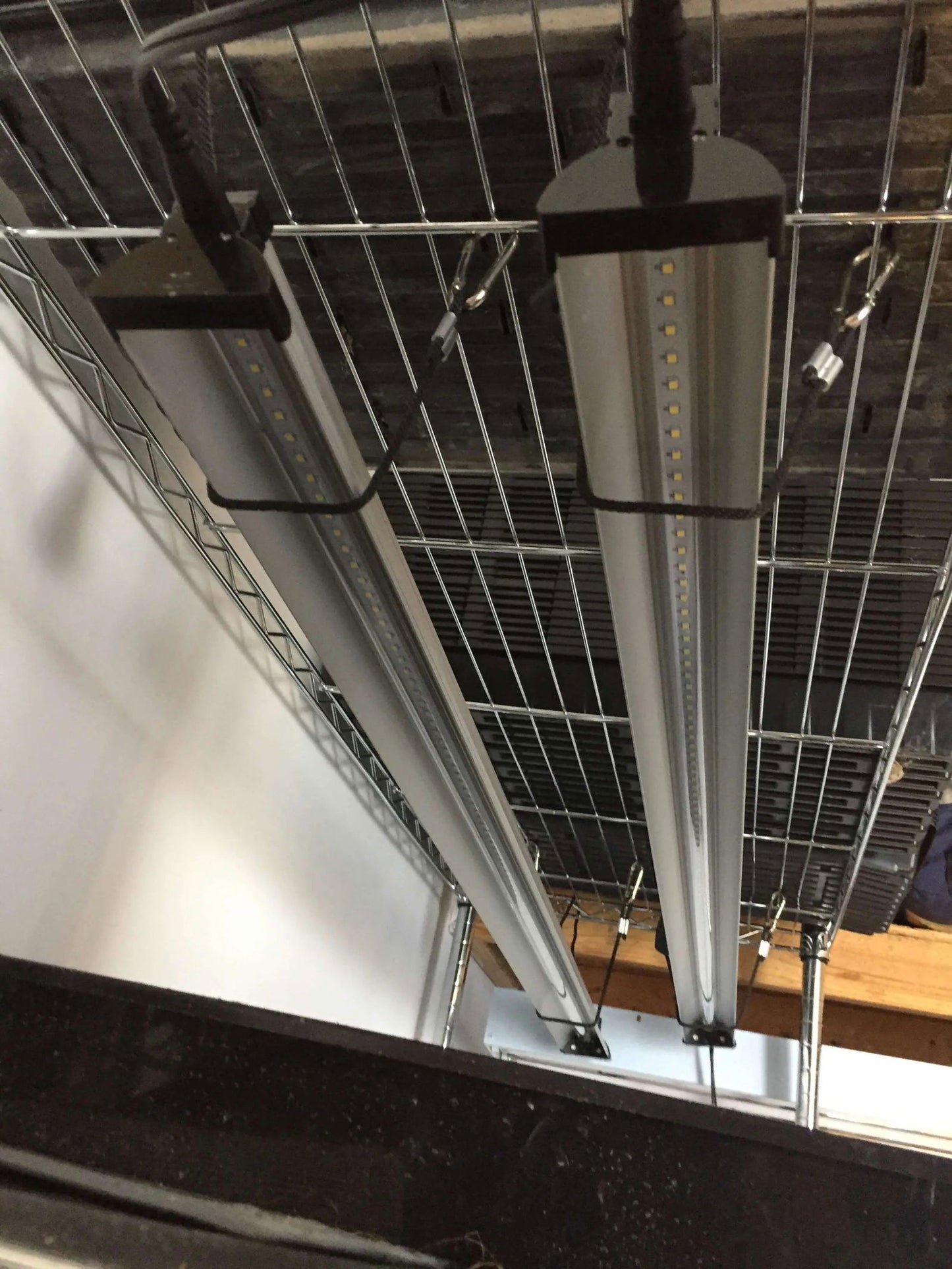 Photo of two long LED grow lights suspended from a metal grid ceiling showing bright white LEDs and dark electrical cords against a light gray wall