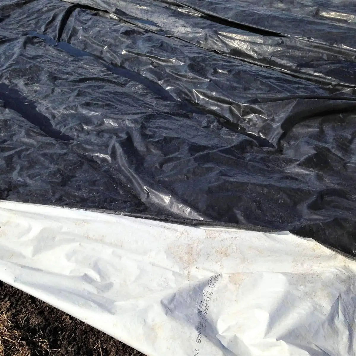 A close-up of Bootstrap Farmer's Light Deprivation & Blackout Plastic—6 mil reversible black & white tarp—covering soil, used for weed control or soil warming in gardening. The sheets are spread out and slightly wrinkled.