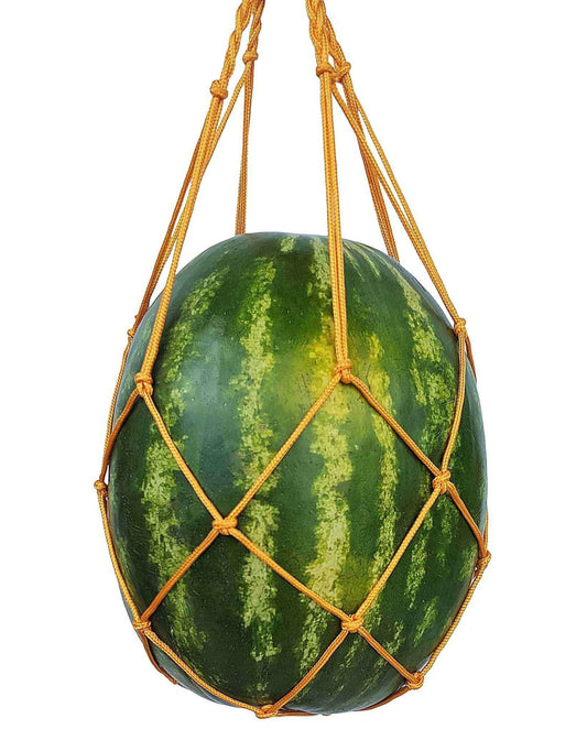 Photograph of a large green watermelon with dark green stripes and yellowish-tan highlights suspended in a knotted orange string net against a white background
