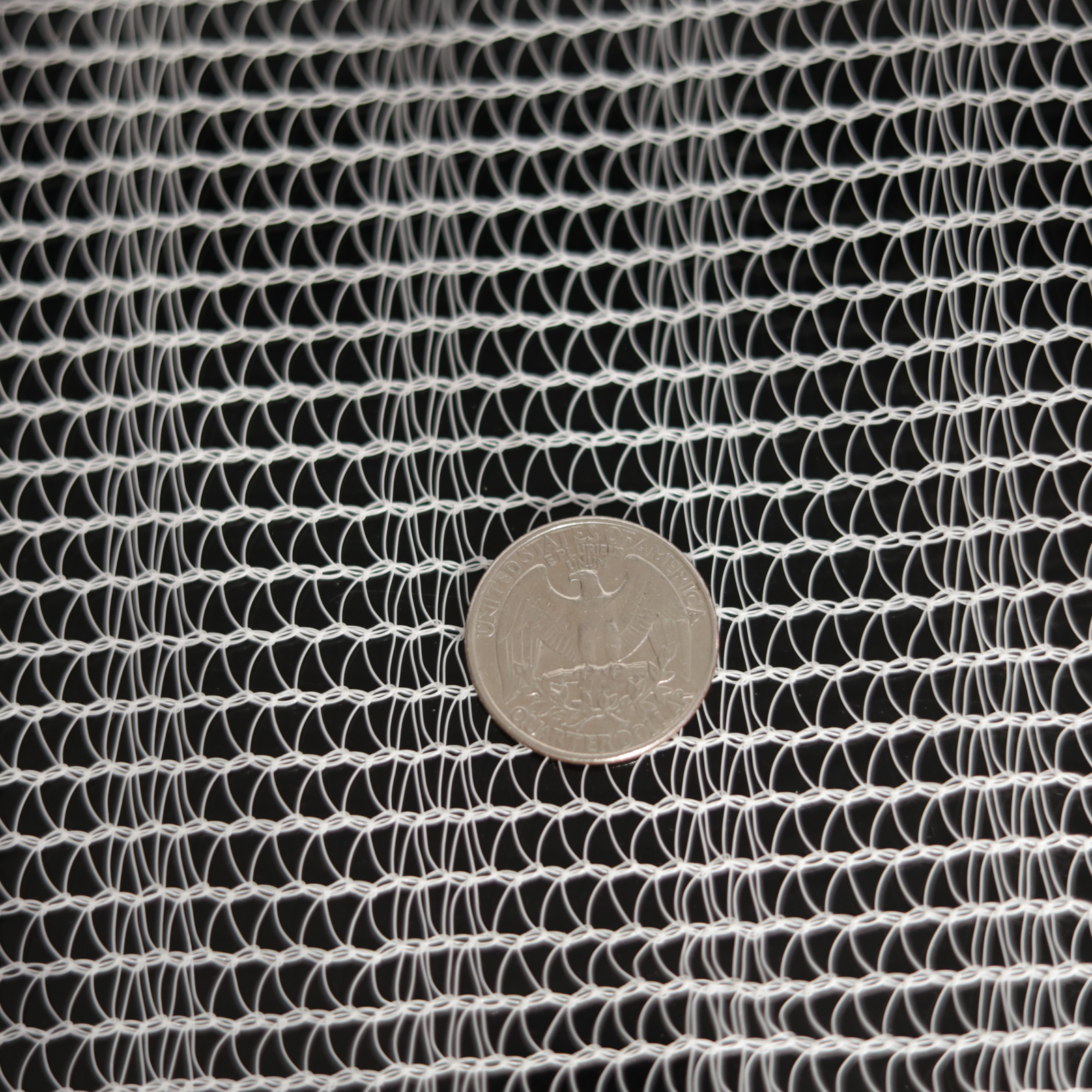 Photo of a US quarter on a white net with a repeating pattern showing a detailed close-up view of the coin's design and the net's intricate texture against a dark background.
