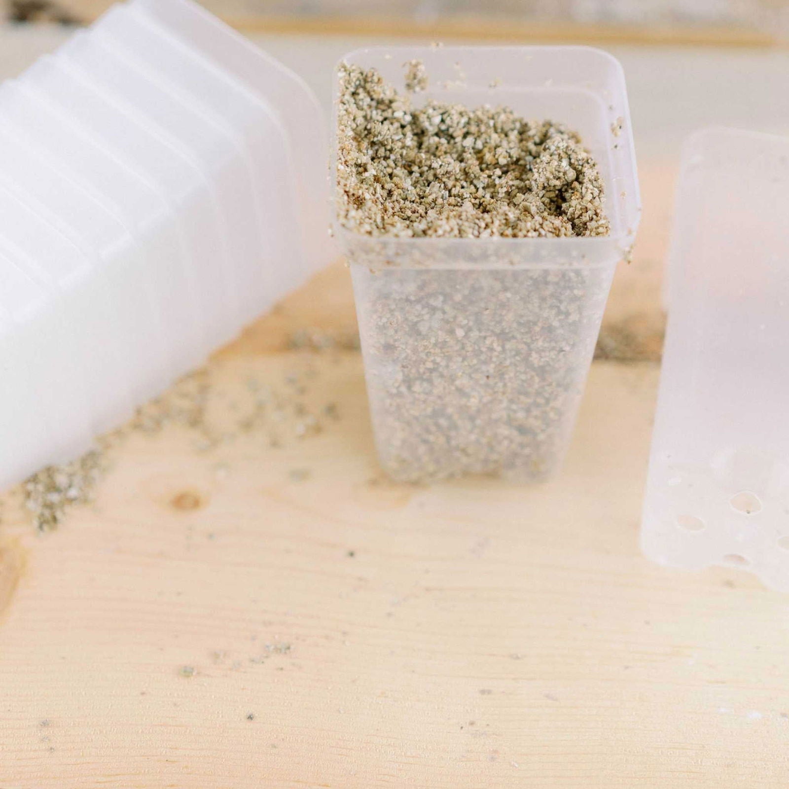 Seed Starter Pots - 2.5" Extra Strength - Blessings Grow Meadows