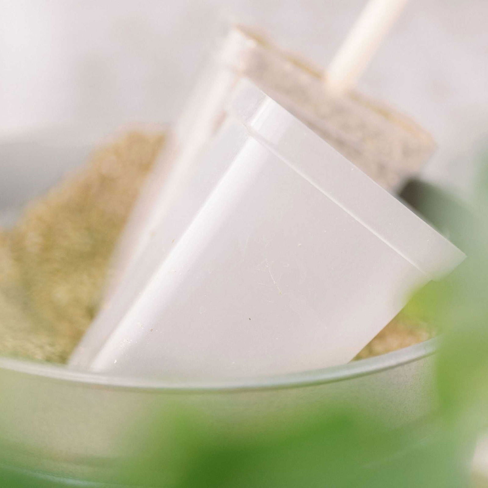 Seed Starter Pots - 2.5" Extra Strength - Blessings Grow Meadows