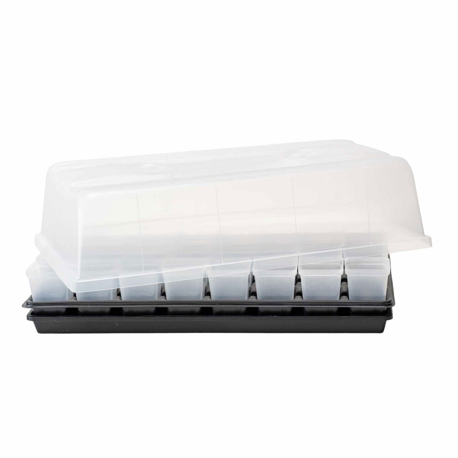 Plastic seedling starter kit with clear dome lid showing multiple small transparent cells in a black tray.

