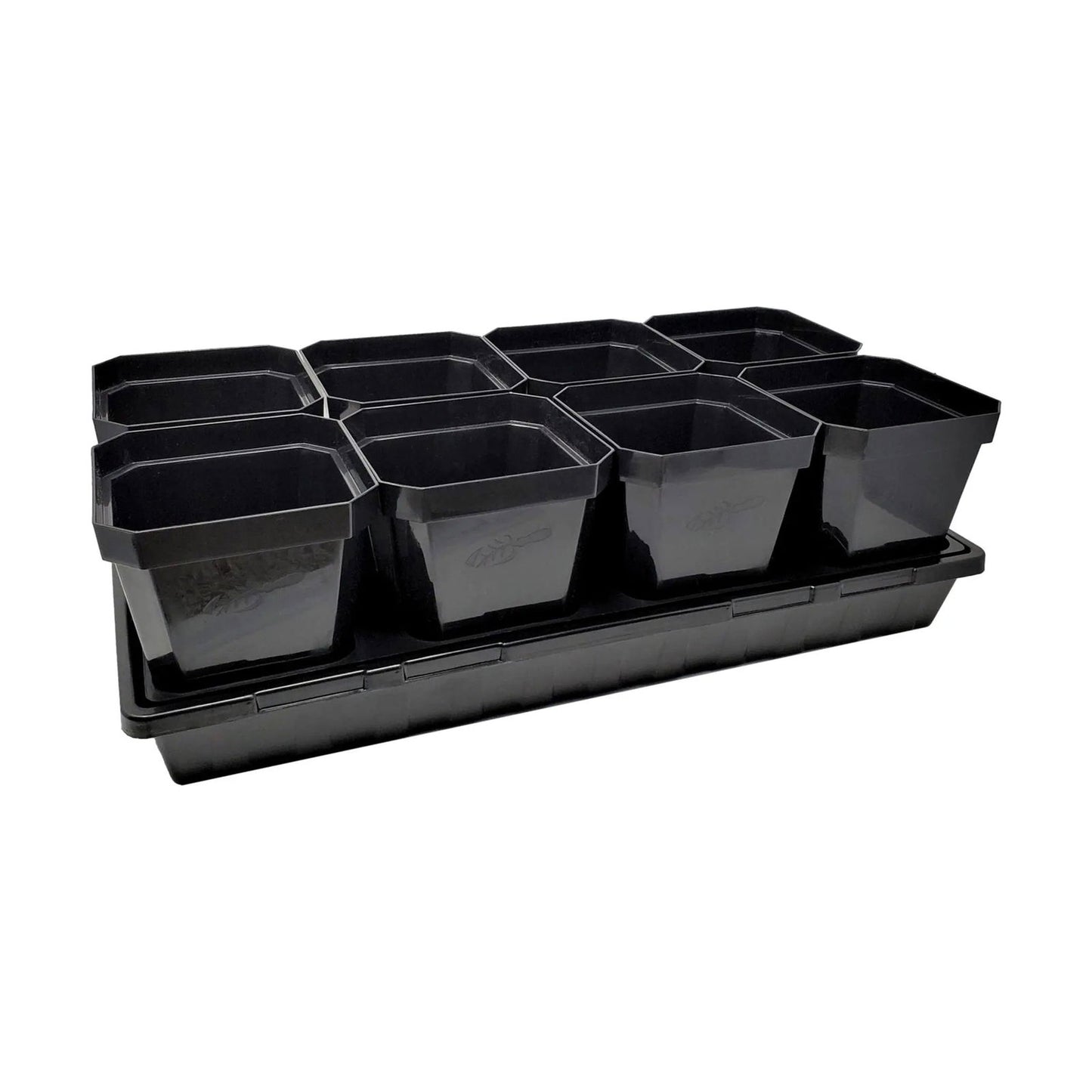 Ten Bootstrap Farmer 5" Heavy Duty Seed Starting Pots are arranged in two rows on a black tray against a white background—perfect for starting seeds.
