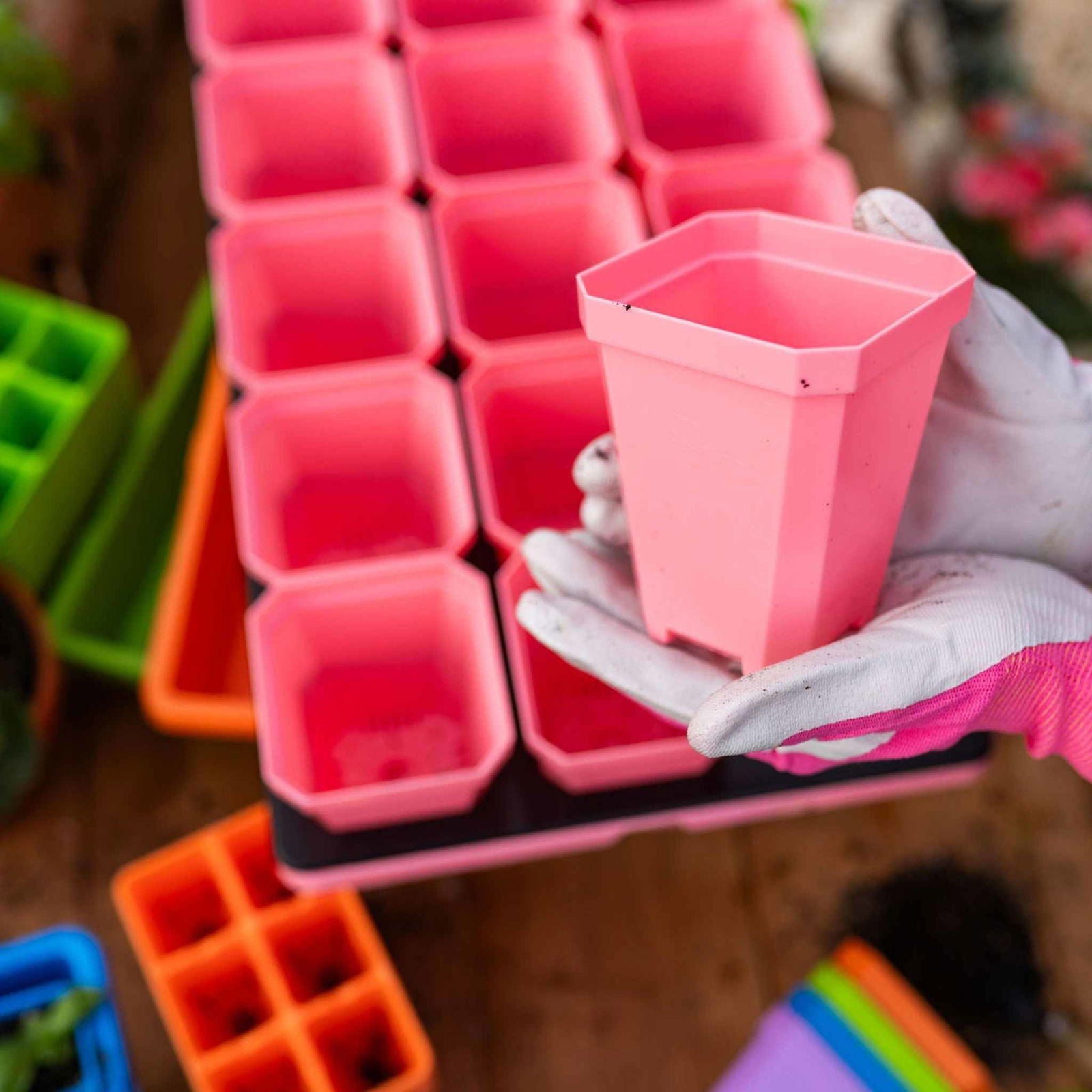Plastic pot in a gloved hand surrounded by pink and orange seed starter trays showing vibrant colors and small soil particles