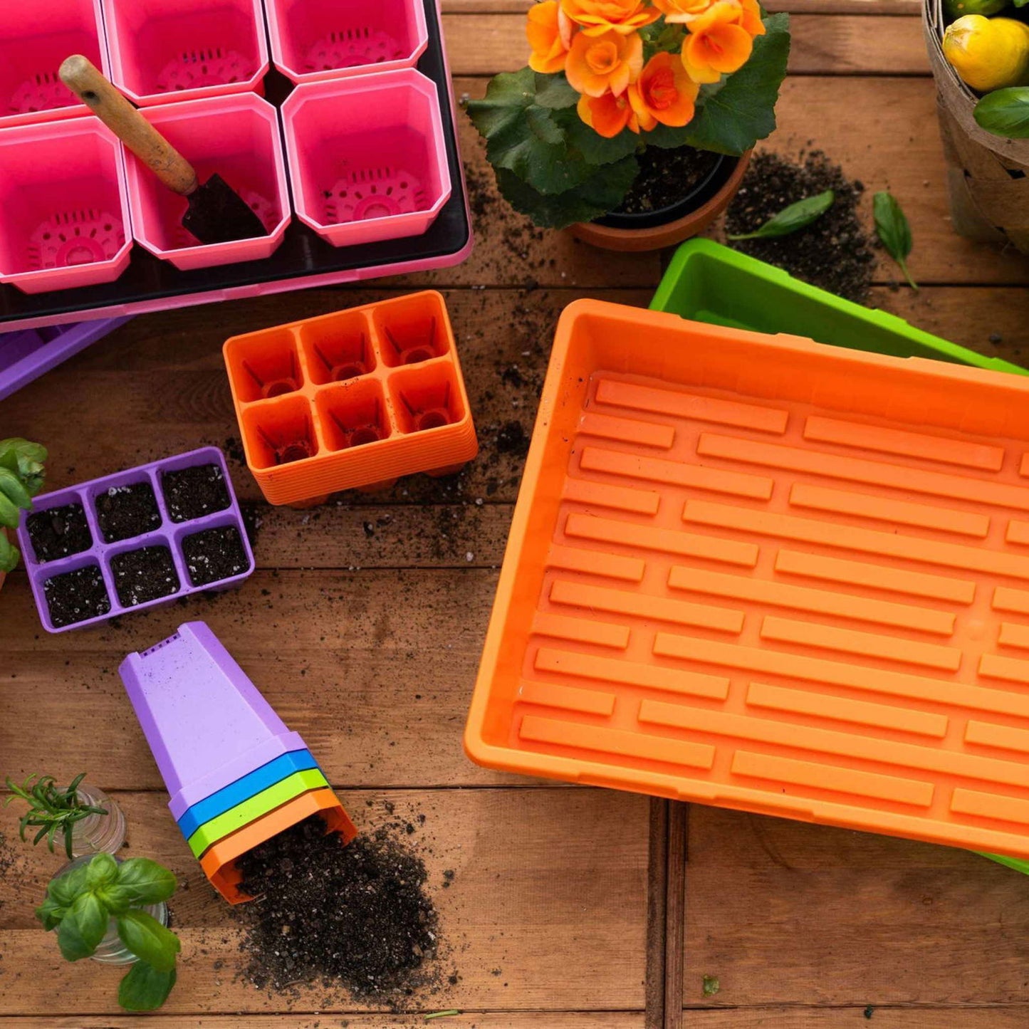 Plastic gardening trays and pots filled with soil showing vibrant orange and pink seed starter trays a purple pot and a small orange and lime green planter on a wooden surface

