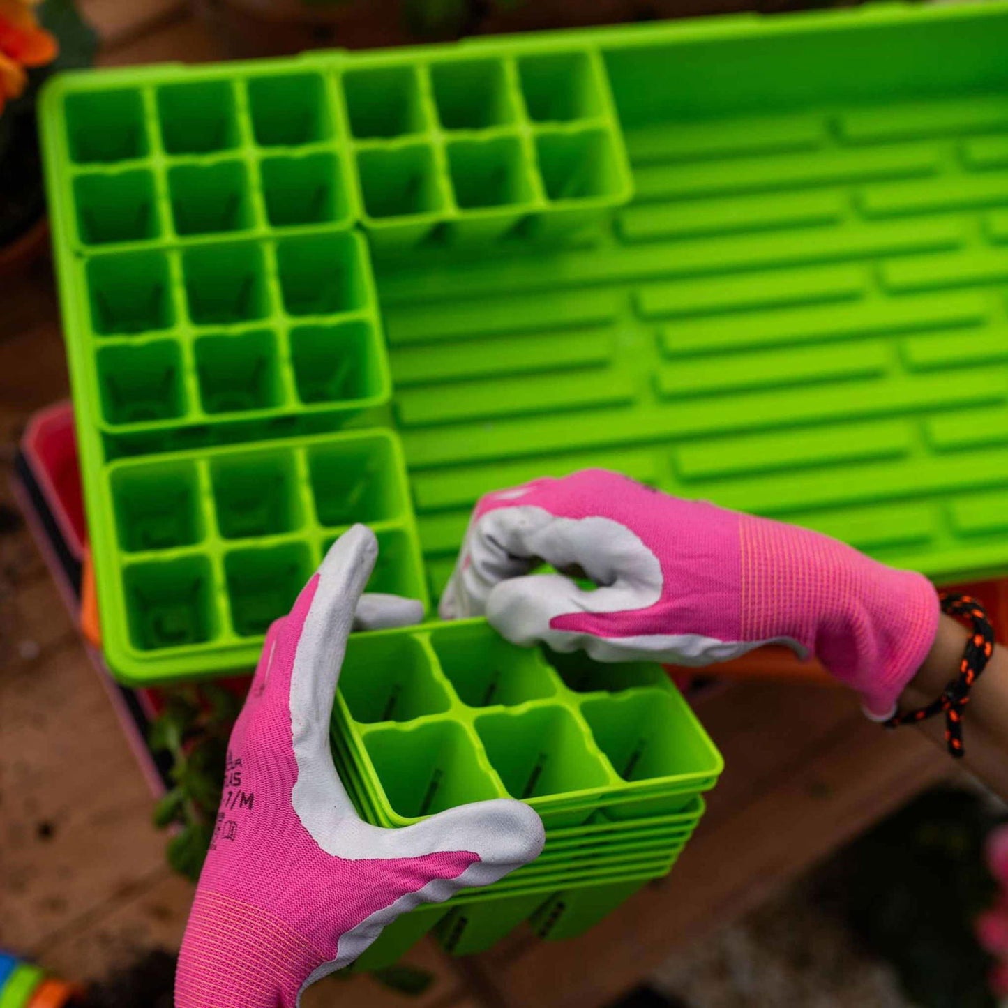 Photograph showing hands wearing pink and white gardening gloves handling bright green plastic seed starter trays in an outdoor setting