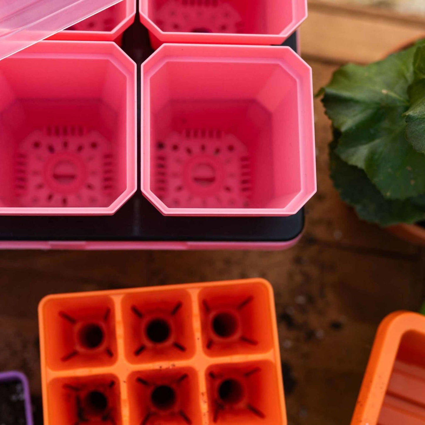 Plastic pink and orange plant pots on a wooden surface showing vibrant colors and drainage holes a succulent plant is nearby