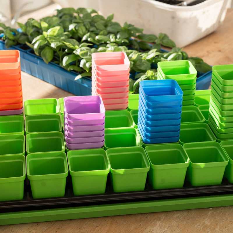 Plastic seedling tray with basil plants showcasing stacks of colorful square pots in pink purple and blue hues against a green tray background
