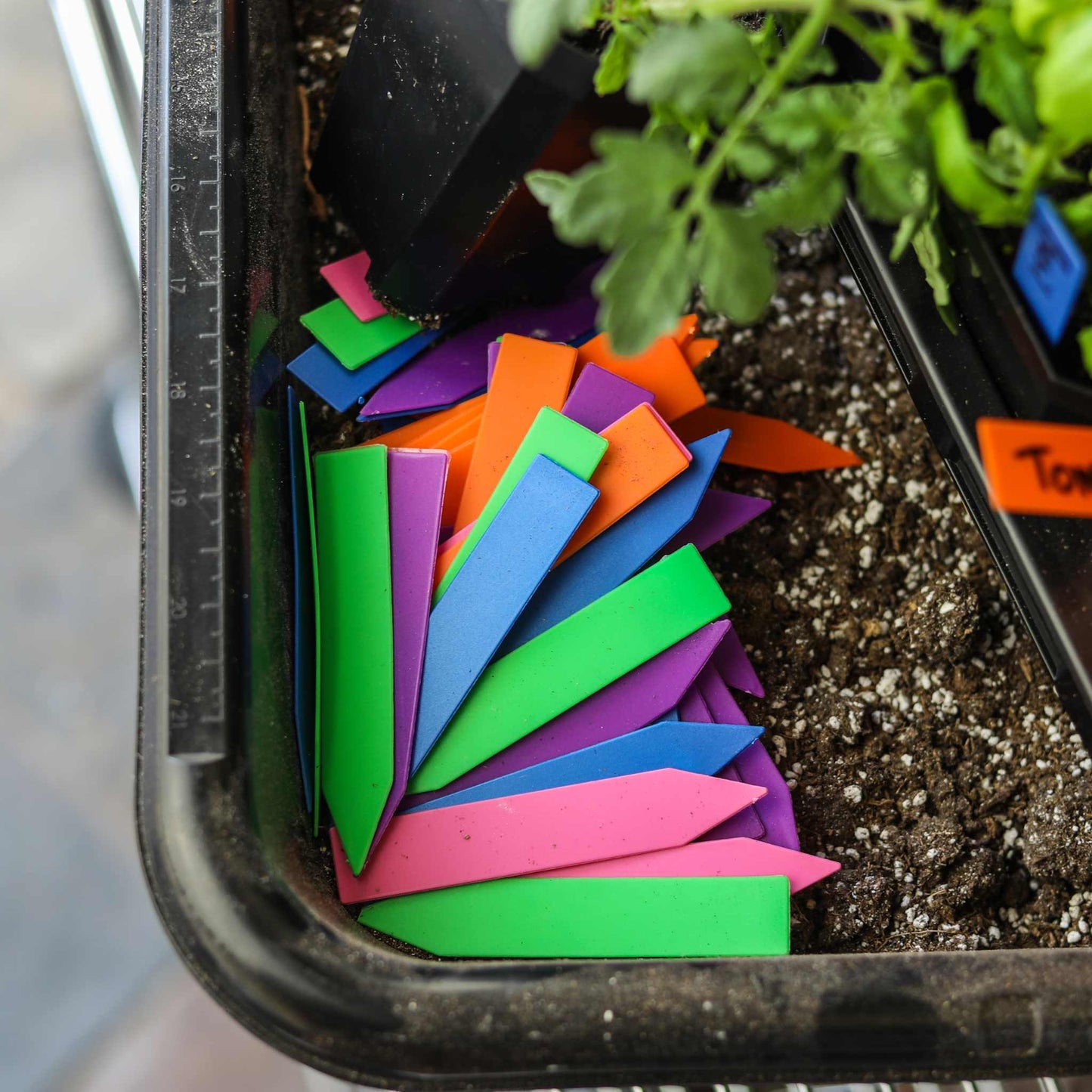 A set of Bootstrap Farmers multi-color plant labels in green, pink, blue, orange, and purple sits in a black container beside a soil-filled tray with young plants.