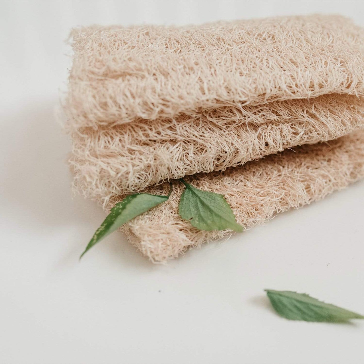 Two stacked Loofah Sponge Pack sponges from ZeroWasteStore.com with a rough, fibrous texture rest on a white surface, accented by green leaves for a fresh, natural look. These loofahs are plastic free and eco-friendly.