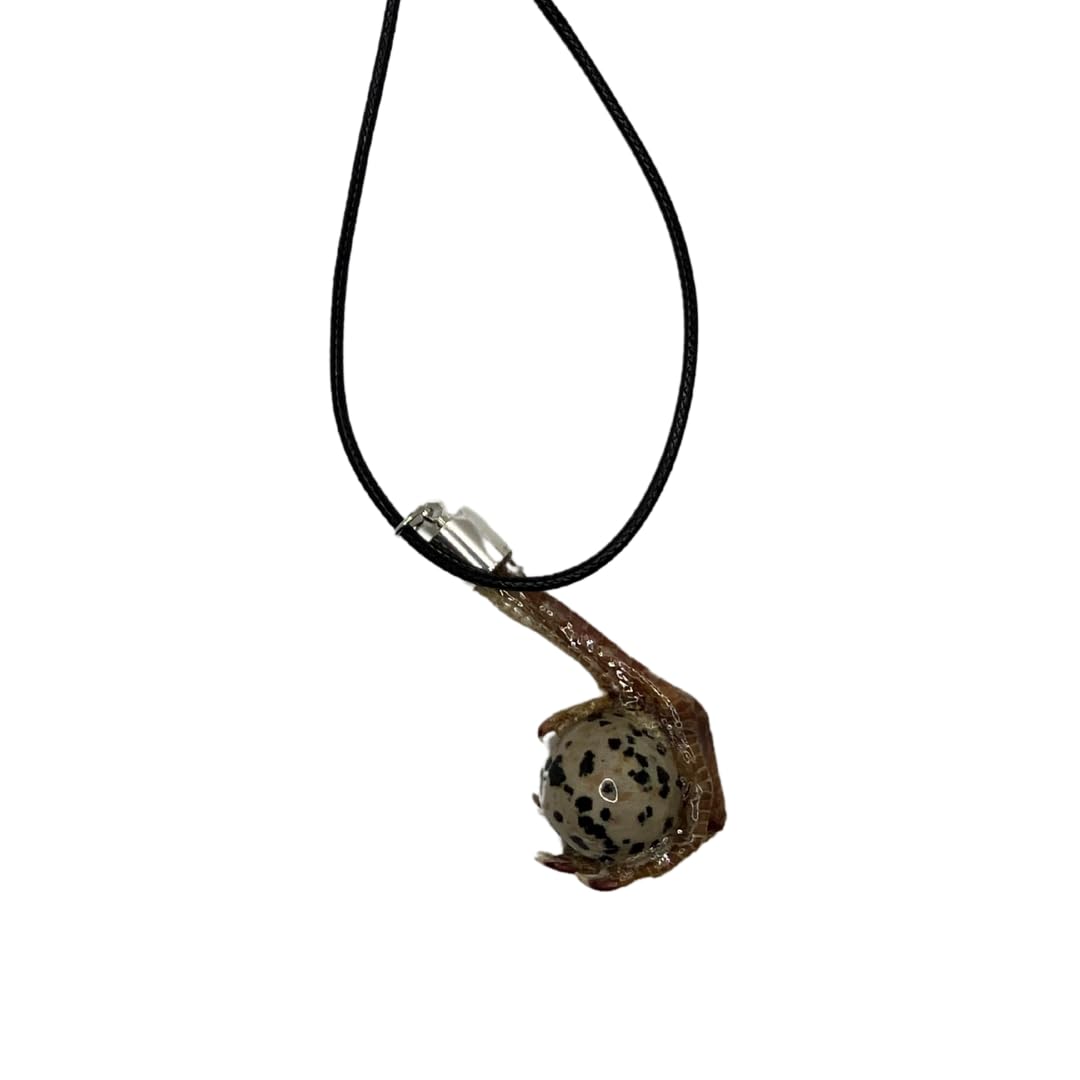 Quailz.com Quail Foot Necklace featuring a stone that resembles a quail egg, displayed on a chain with detailed craftsmanship.
