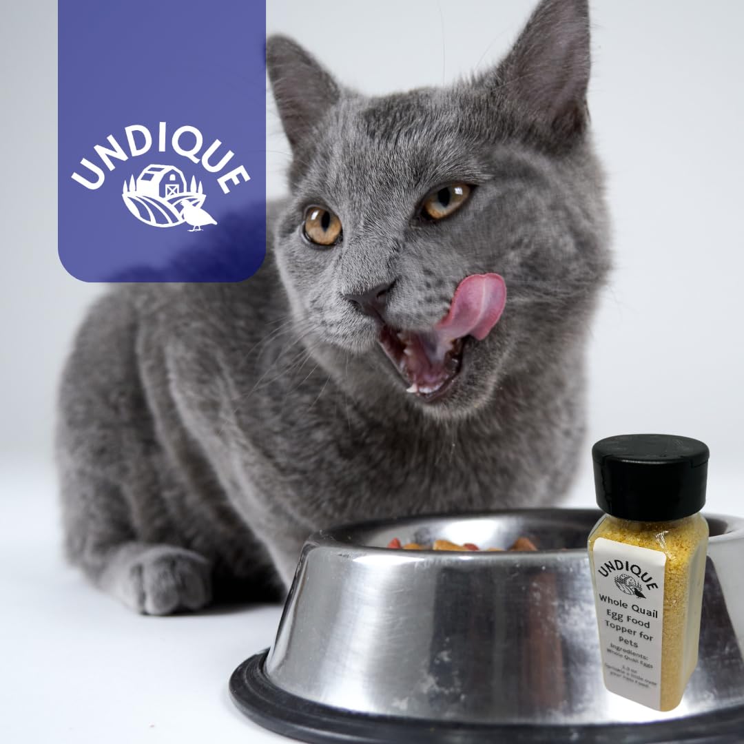 High-protein Quailicious Boost cat food topper by Quailz.com, featuring freeze-dried quail eggs for digestive health and nutrient support.
