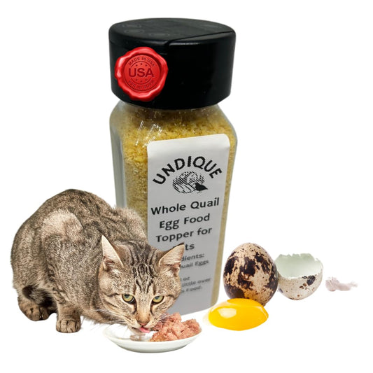Quailicious Boost high-protein quail egg cat food topper by Quailz.com, freeze-dried, grain-free, digestive health support for cats.
