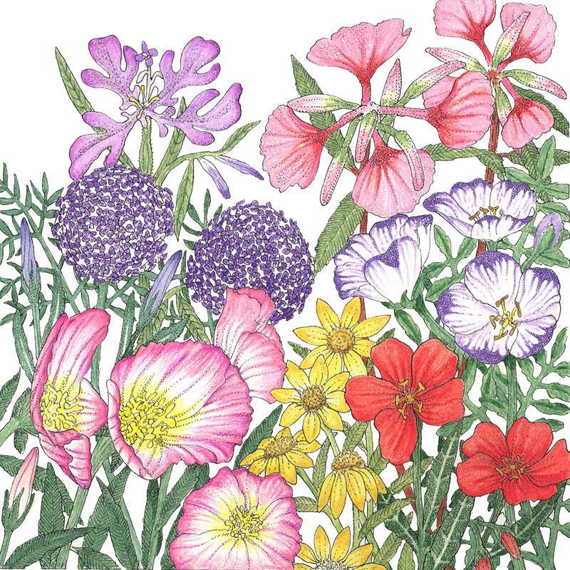 California Native Wildflower Mix (lb) - Grow Organic ~ Blessings Grow Meadows