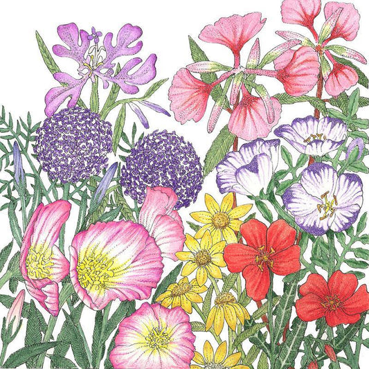 California Native Wildflower Mix (lb) - Grow Organic ~ Blessings Grow Meadows