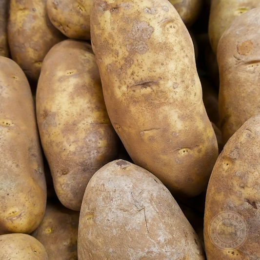 Caribou Russet seed potato from The Farm On Central, showing fresh, brown-skinned tubers with smooth texture and round shape.