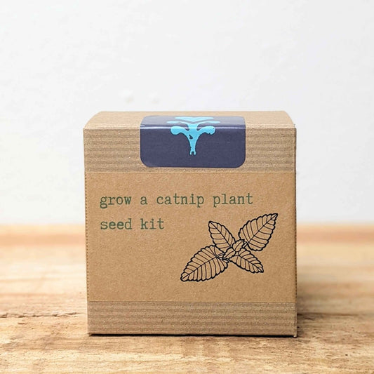 Plantflix Catnip Beginner Grow Kit with herb seeds for growing catnip at home, ideal for cats and herb gardening enthusiasts.