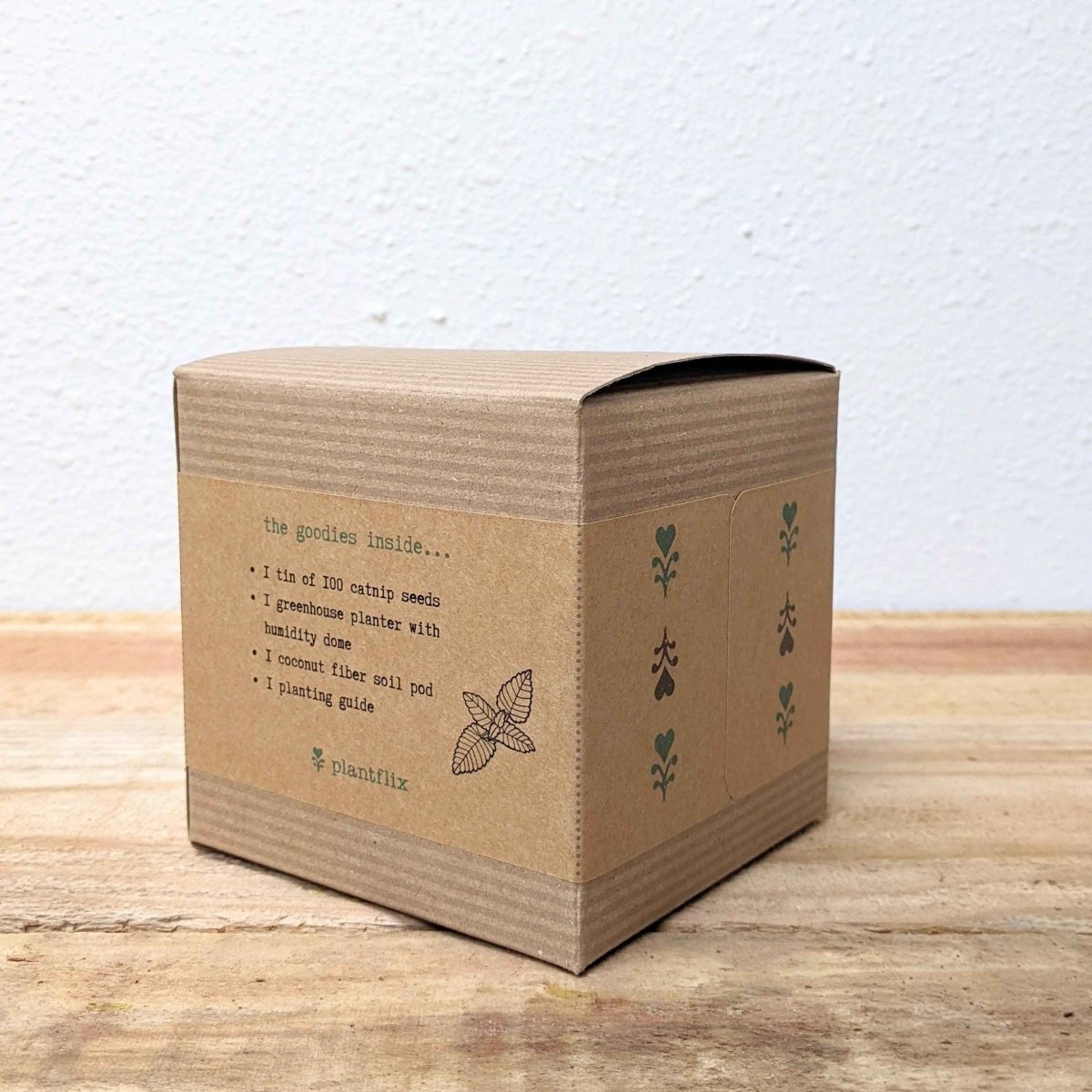 Catnip beginner grow kit by Plantflix featuring herb seeds and planting supplies for growing catnip at home.