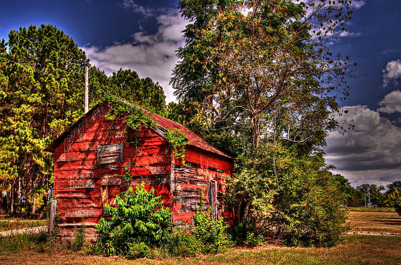An old, weathered red barn is partially covered by lush green foliage. It stands next to tall trees under a partly cloudy sky, with fields stretching into the distance, capturing a rustic, countryside scene.