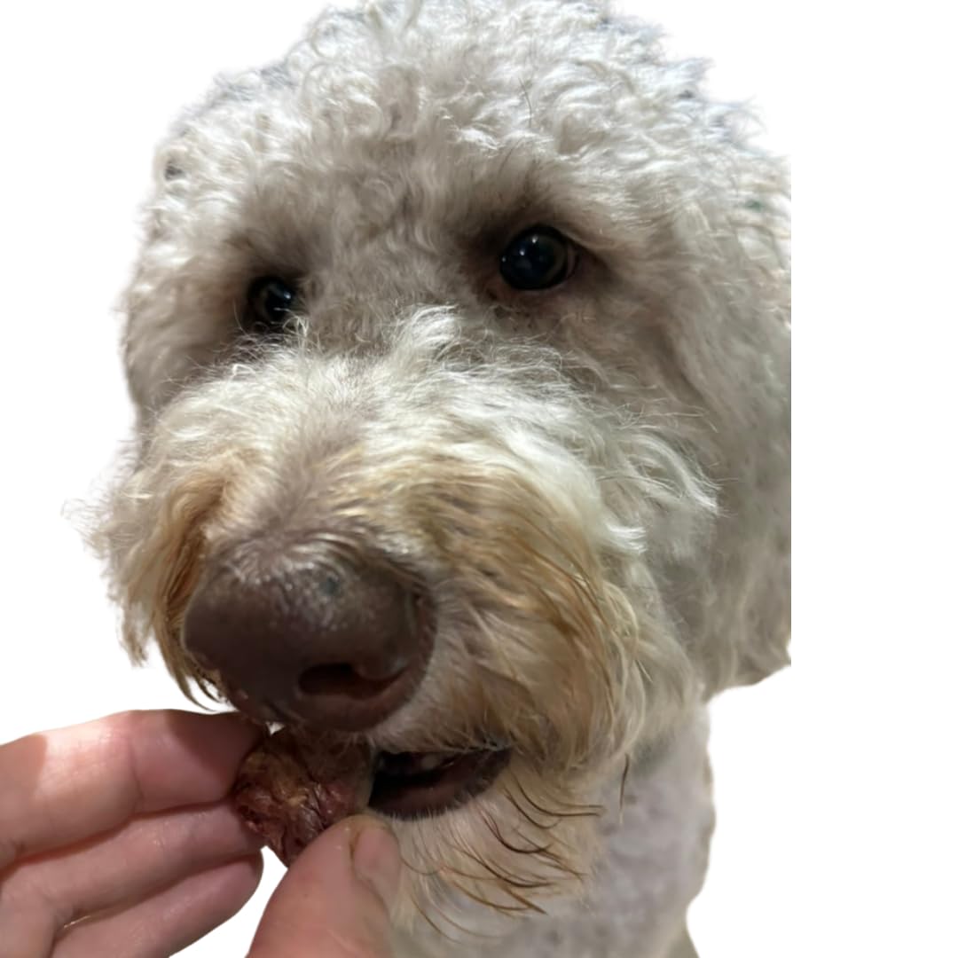 Freeze-dried duck hearts dog treats in a 3 oz package, single ingredient, USA-made, natural pet treat by Quailz.com.