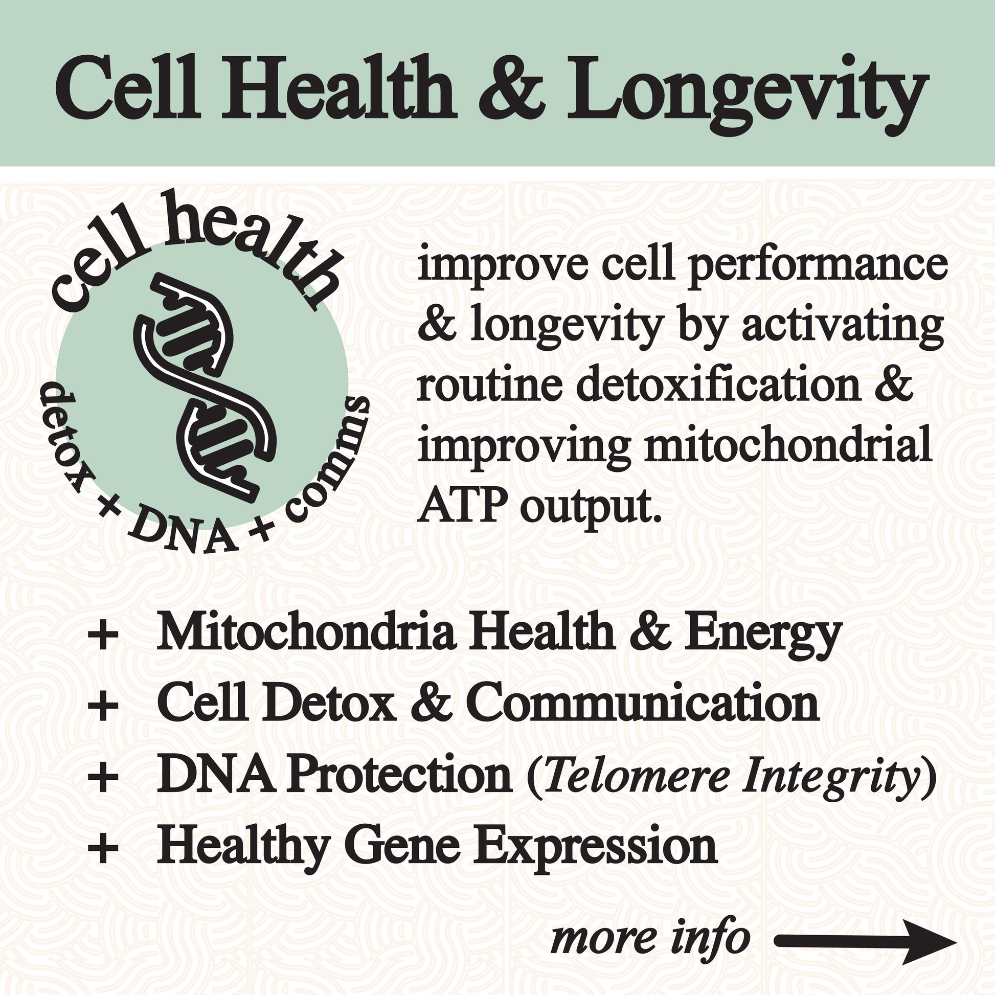 inflammation tincture. - Blessings Grow Meadows