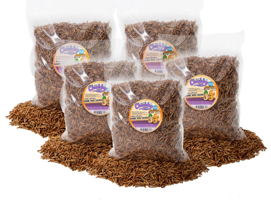 10lb Chubby Mix (Mealworm & Black Soldier Fly Larvae) - Blessings Grow Meadows