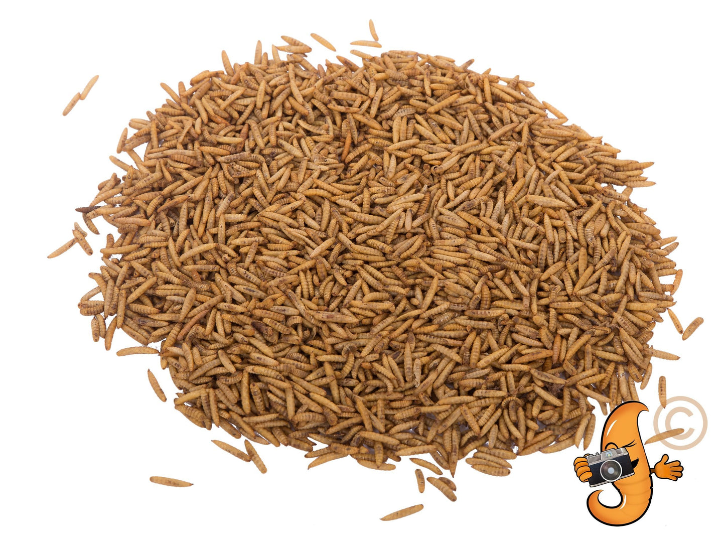 8lb bag of Chubby Dried Black Soldier Fly Larvae, Dried BSFL by Chubby Mealworms USA, showing the product in a sealed package.