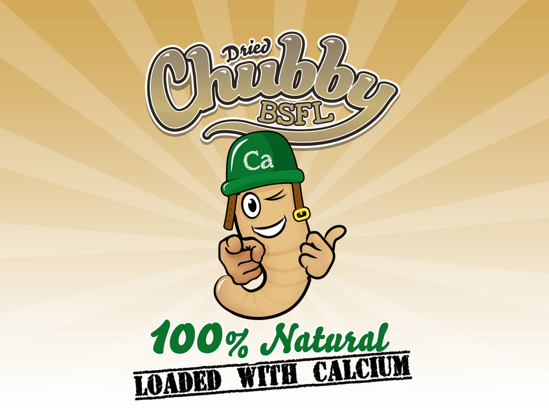8lb bag of Chubby Mealworms USA dried Black Soldier Fly Larvae, high-protein dried BSFL for pet or animal feed.