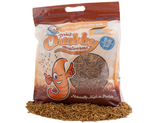 5Lbs Chubby Dried Mealworms - Blessings Grow Meadows