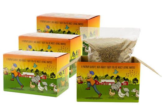 4x 3Lb (12lbs) Chubby Dried Mealworms - Coop Dreams Limited Edition Boxes - Blessings Grow Meadows