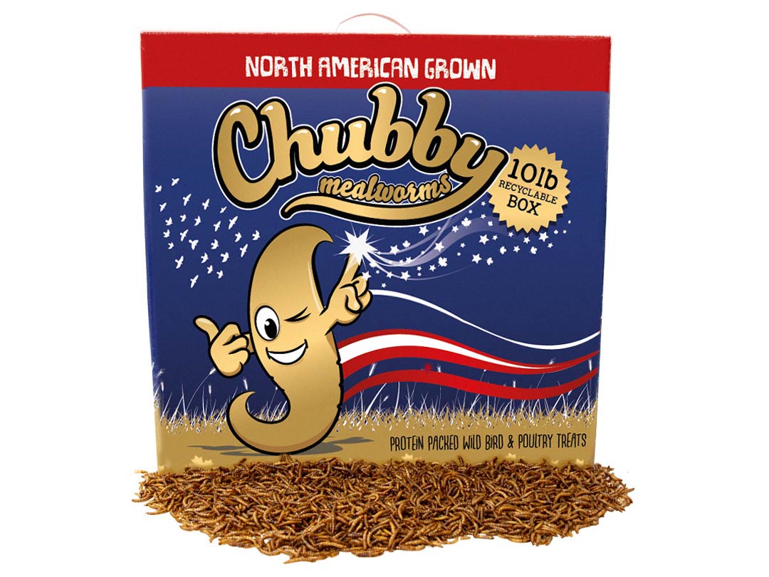 10Lbs Chubby North American Dried Mealworms (Montreal Grown) Recyclable Box Non-GMO - Blessings Grow Meadows
