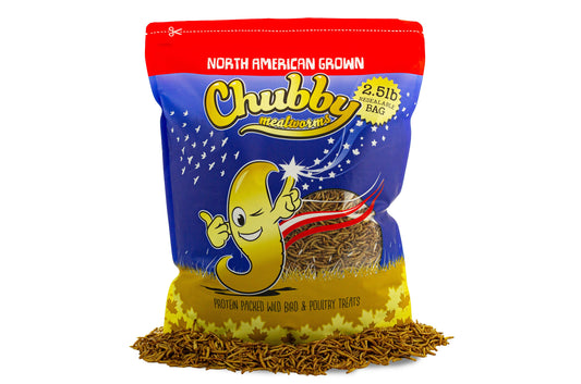2.5Lbs Chubby North American Dried Mealworms (Montreal Grown) Non-GMO - Blessings Grow Meadows