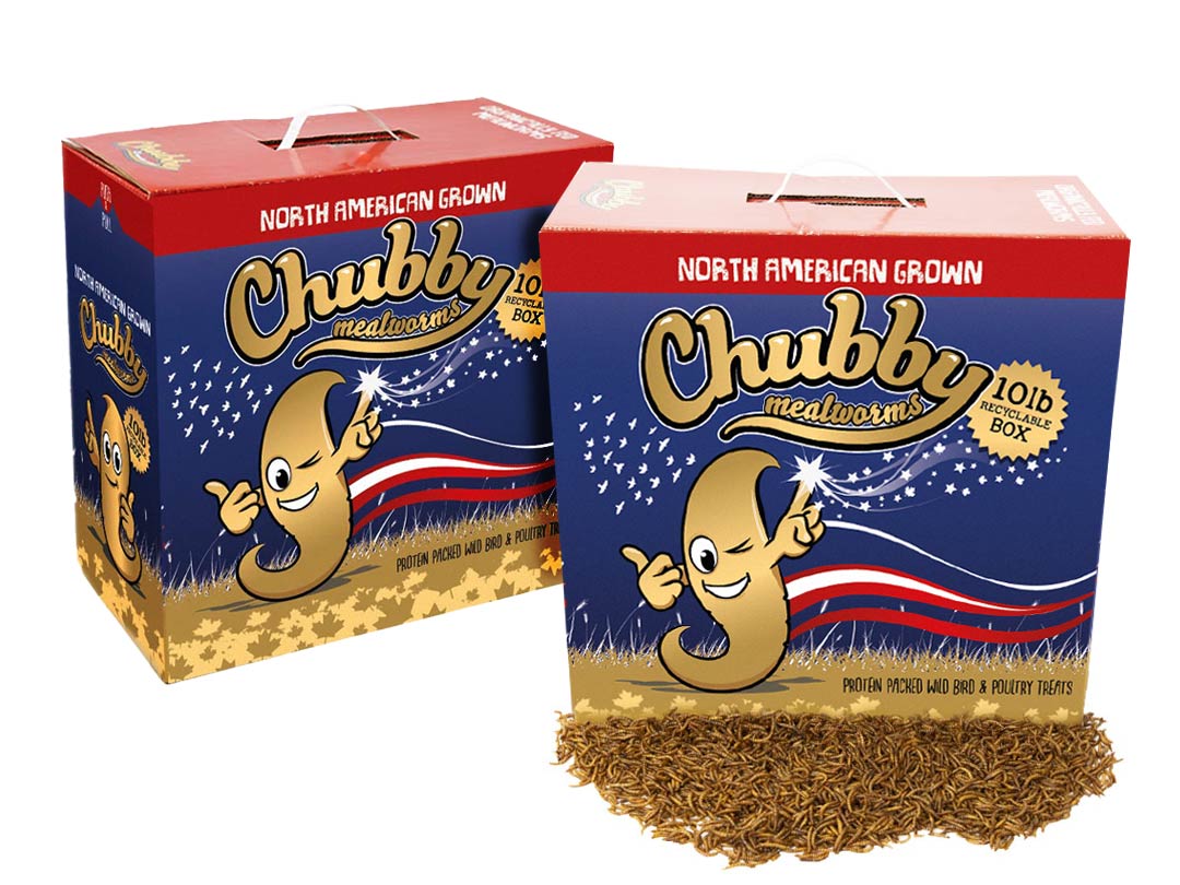 20Lbs Chubby North American Dried Mealworms (Montreal Grown) Recyclable Boxes Non-GMO - Blessings Grow Meadows