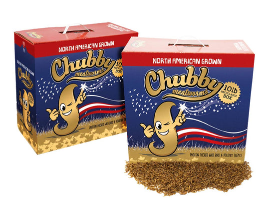 20Lbs Chubby North American Dried Mealworms (Montreal Grown) Recyclable Boxes Non-GMO - Blessings Grow Meadows