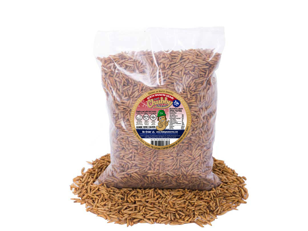 2lb Chubby Dried Black Soldier Fly Larvae by Chubby Mealworms USA, North American grown, non-GMO insect protein for pets or feed