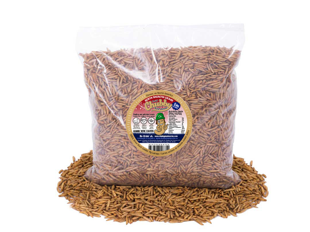 5LB Chubby Dried Black Soldier Fly Larvae - Grown in North America (Montreal) Non-GMO - Blessings Grow Meadows