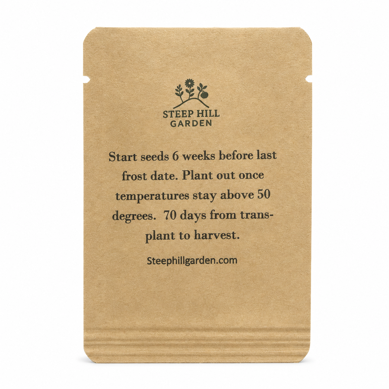 Chupon de Malinalco Tomatillo Seeds – 25 Seeds, Heirloom Mexican Variety, Salsa & Fresh Eating