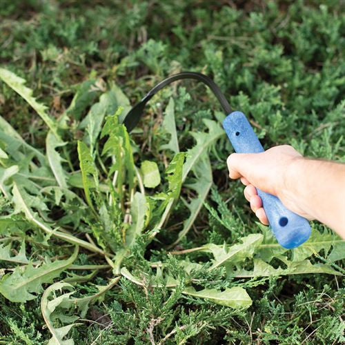 Original CobraHead Weeder & Cultivator Garden Tool - Blessings Grow Meadows