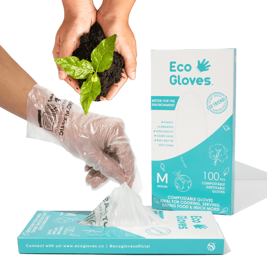 Compostable Disposable Gloves - Clear (100 gloves/box) | Eco Gloves
