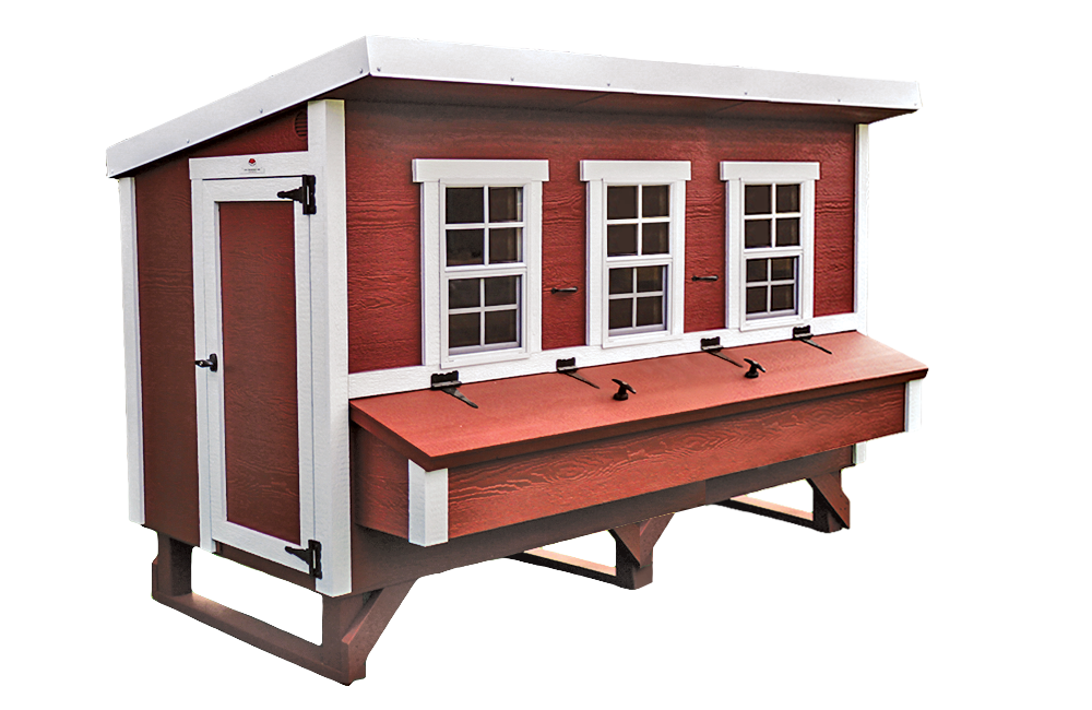 OverEZ XL Chicken Coop designed for up to 20 chickens, featuring a bright, spacious outdoor shelter with secure nesting areas.